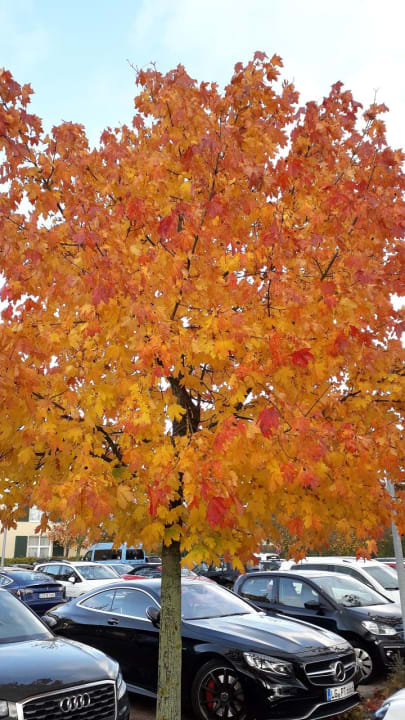 Sonstiges Best Western Premier Castanea Resort Hotel