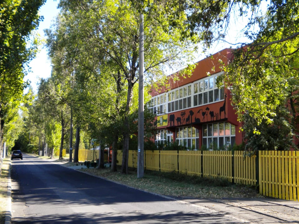 Hotel Jungle Hotel Dzsungel