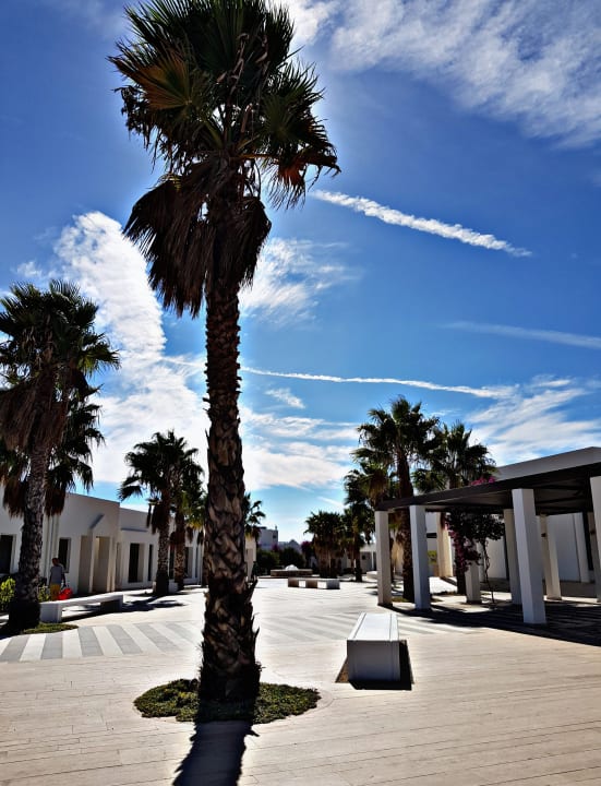 Sonstiges Atlantica Plimmiri