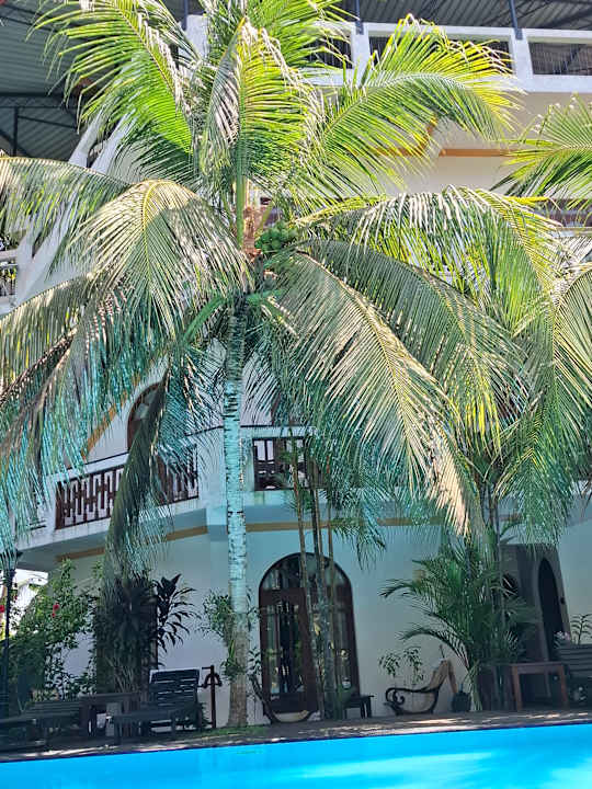 Pool Hotel Bentota Village