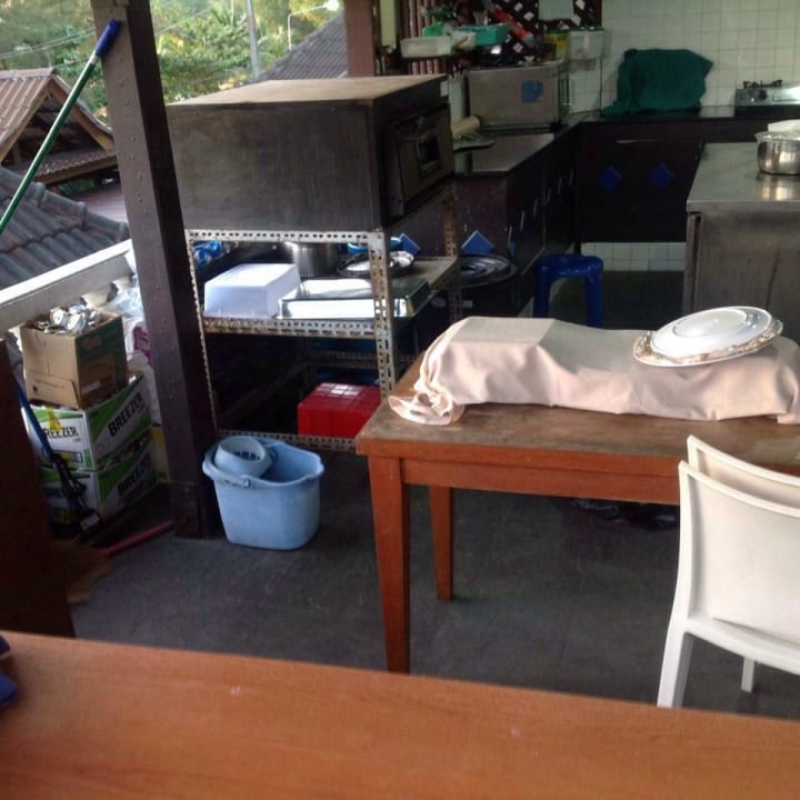 Ratten im Pool Restaurant Best Western Phuket Ocean Resort