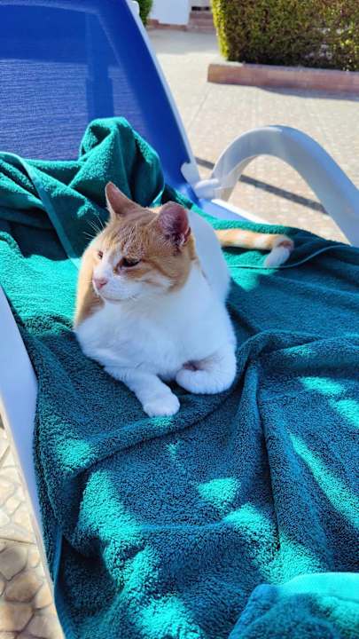 Sonstiges Arabella Azur Resort