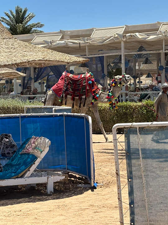 Strand LABRANDA Club Makadi