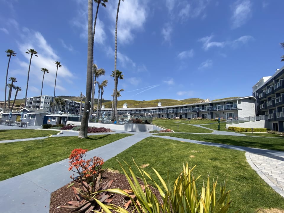 Gartenanlage The SeaCrest Oceanfront Hotel