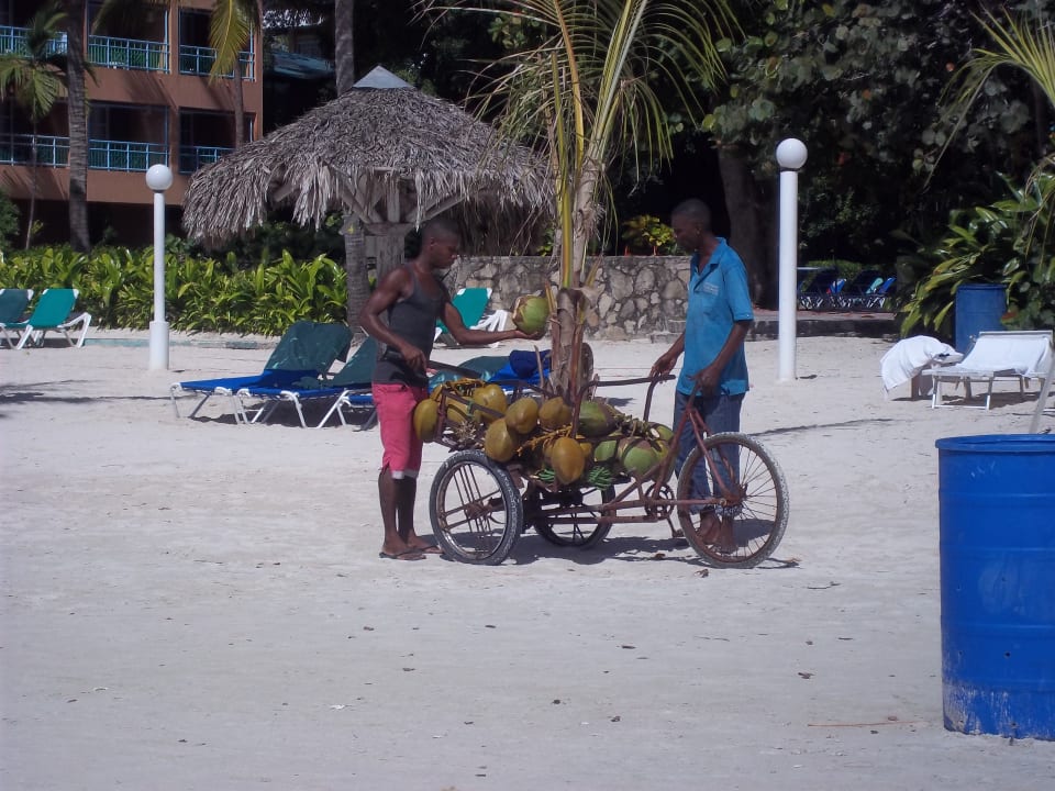 Strand whala!boca chica