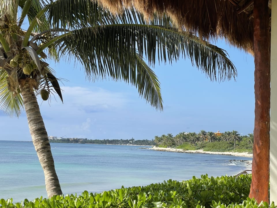 Gartenanlage Akumal Bay Beach & Wellness Resort