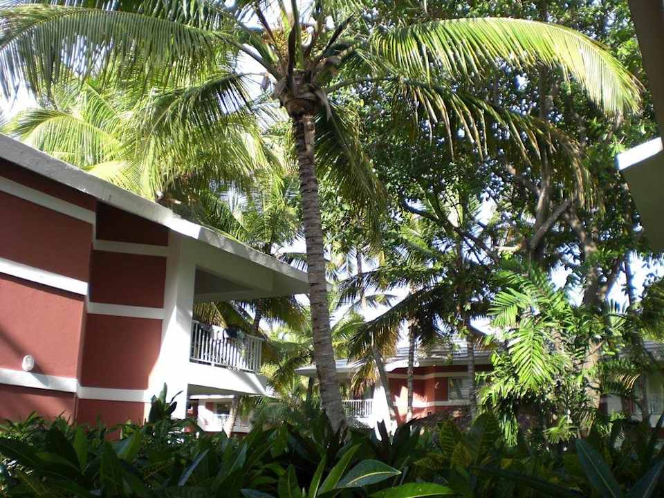 Zwischen den Villen Grand Palladium Select Bávaro Resort & Spa