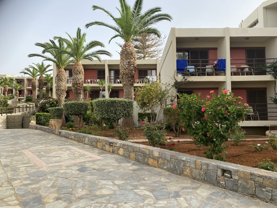 Gartenanlage allsun Hotel Malia Beach