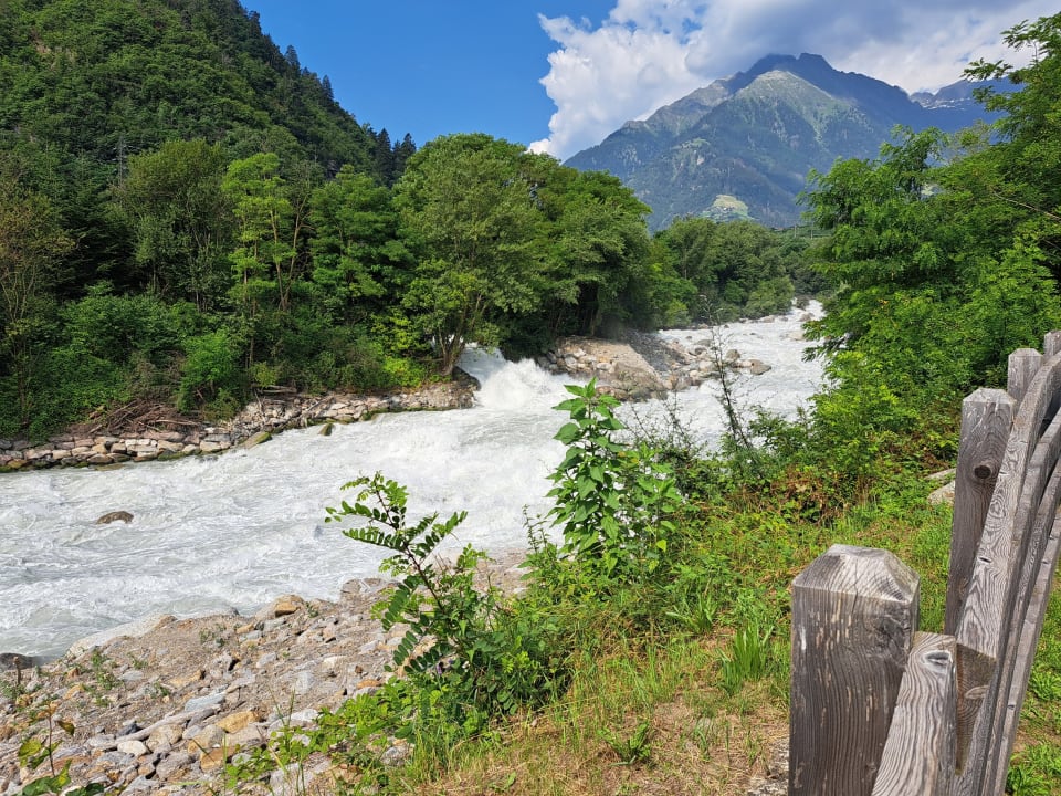 Gartenanlage Garni Hotel Katzenthalerhof