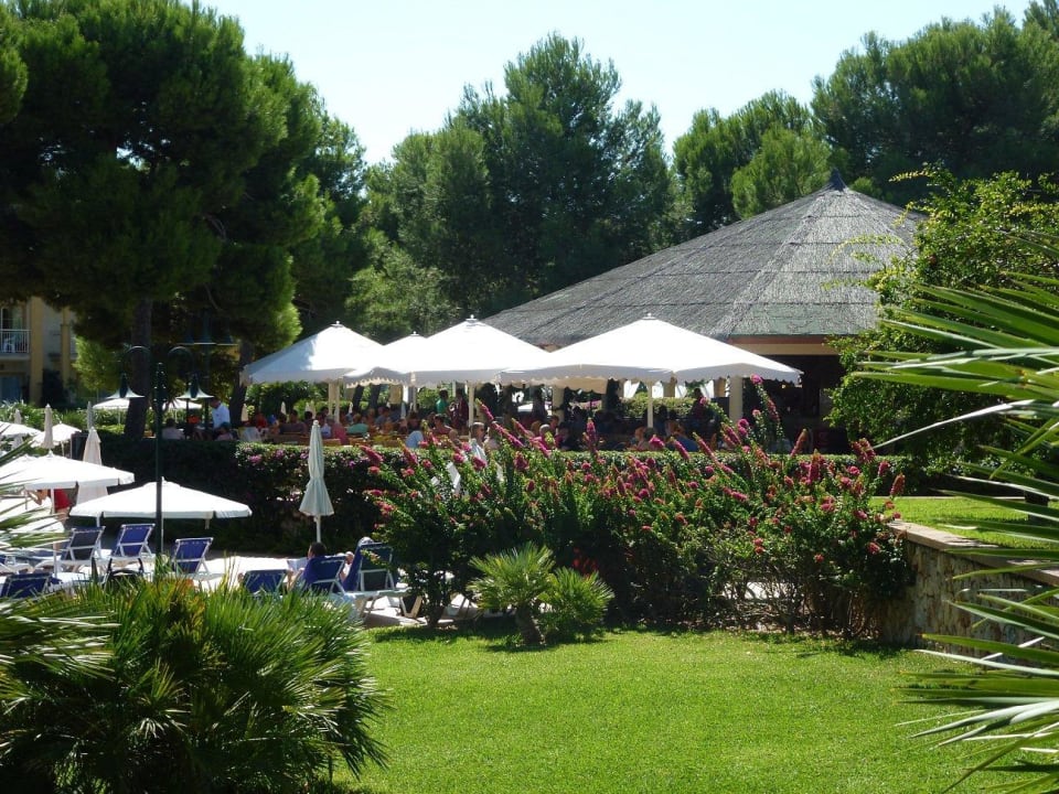 Poolbar/Snackbar Zafiro Mallorca