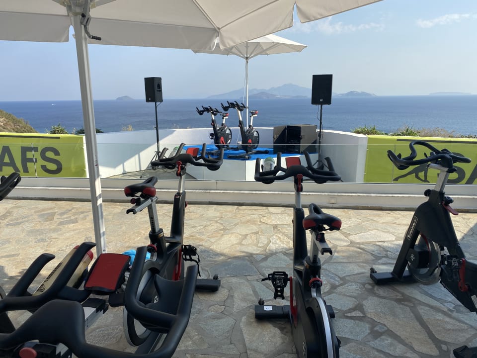 Sport & Freizeit ROBINSON DAIDALOS