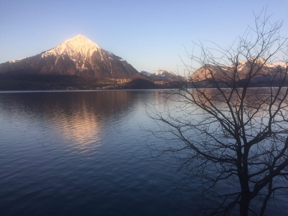 Prachtsaussicht Beatus Wellness- & Spa-Hotel