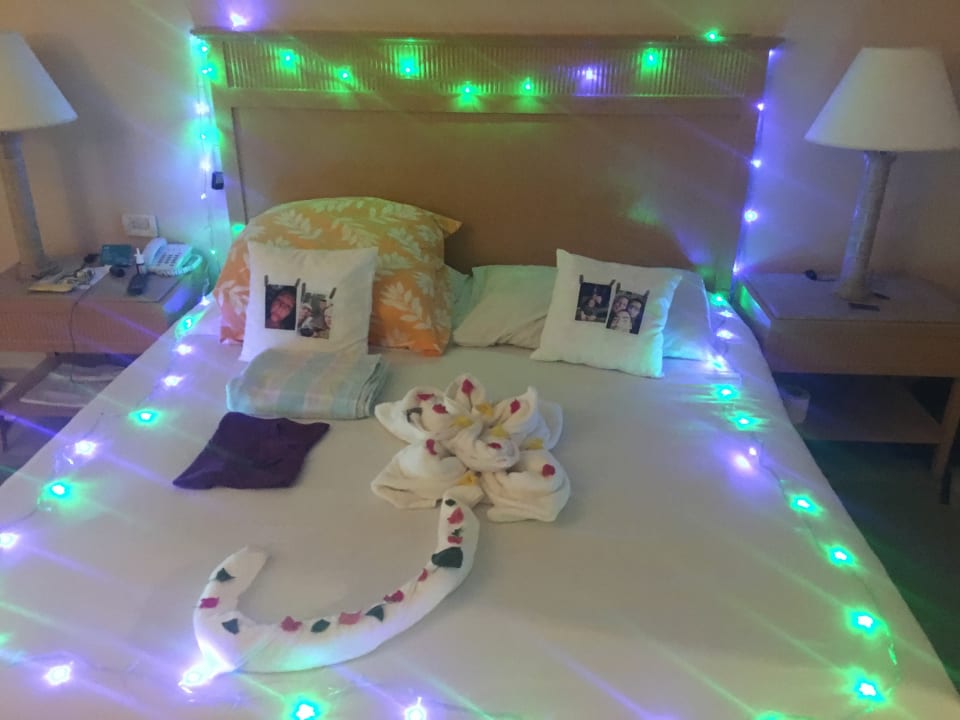 Zimmer Hotel JAZ Makadi Star & Spa