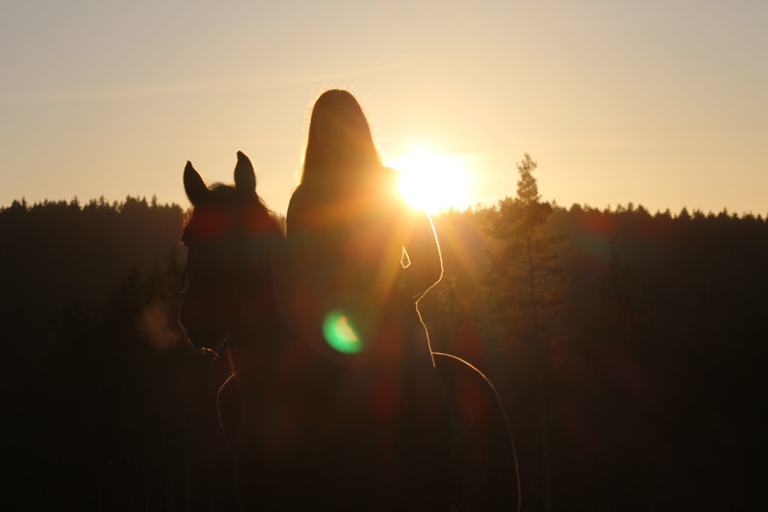 Sport & Freizeit Naturferien Hilserhof