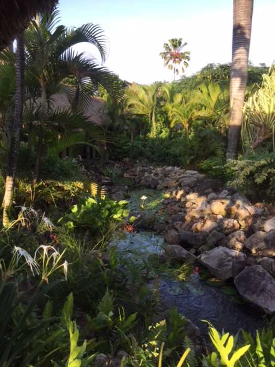 Gartenanlage Hotel Outrigger on the Lagoon - Fiji