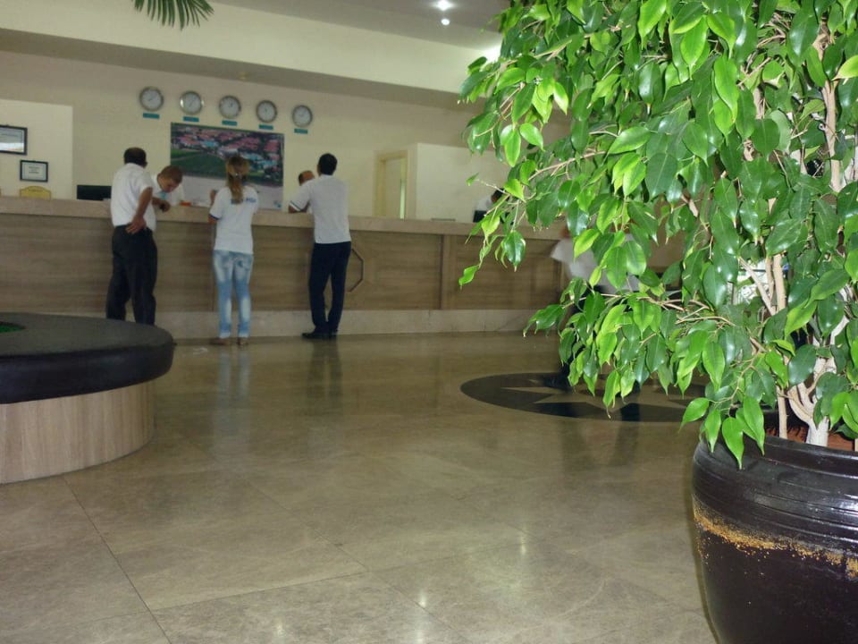 Лобби Asteria Family Resort Side
