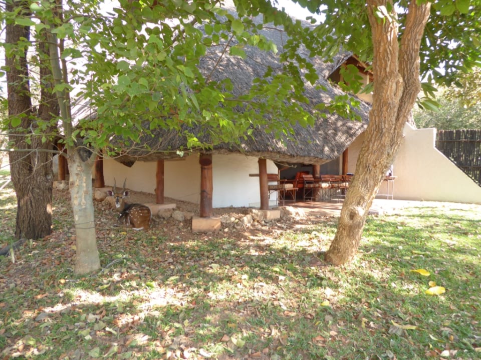 Sonstiges Lokuthula Lodge