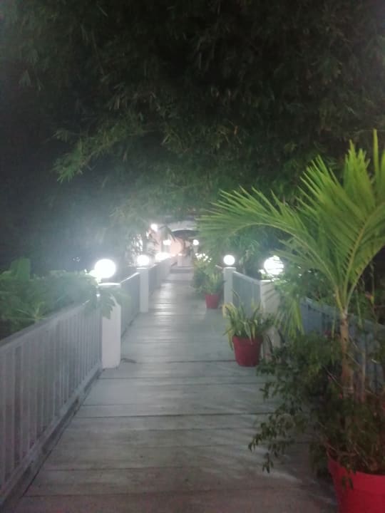 Gartenanlage Hotel Bacolet Beach Club