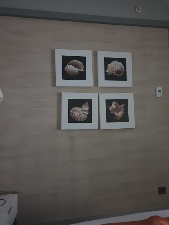 Zimmer Acanthus Cennet Barut Collection