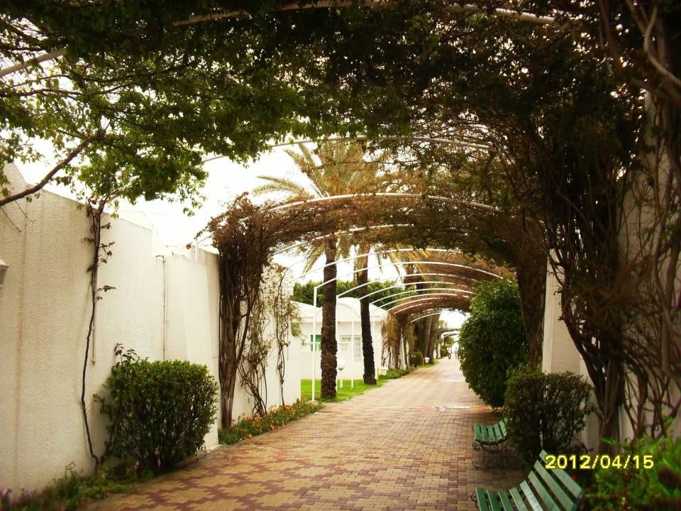 Wygląd zewnętrzny El Mouradi Club Kantaoui