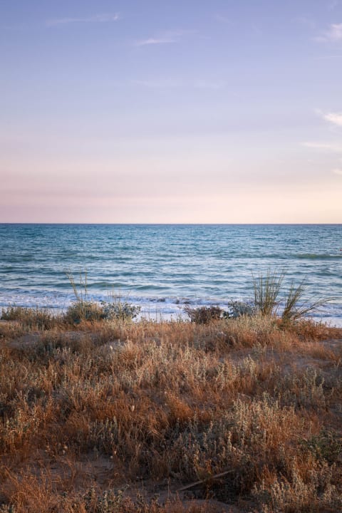 Strand Luna Minoica Suites and Apartments