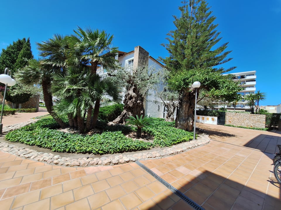 Gartenanlage Alcudia Garden Aparthotel