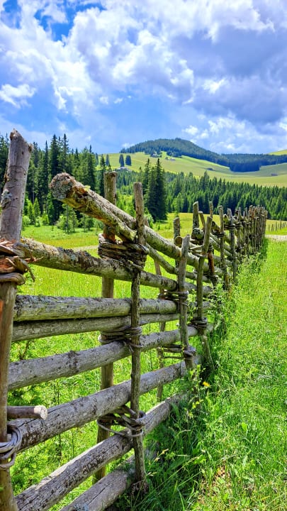 Ausblick Almwellness Hotel Pierer