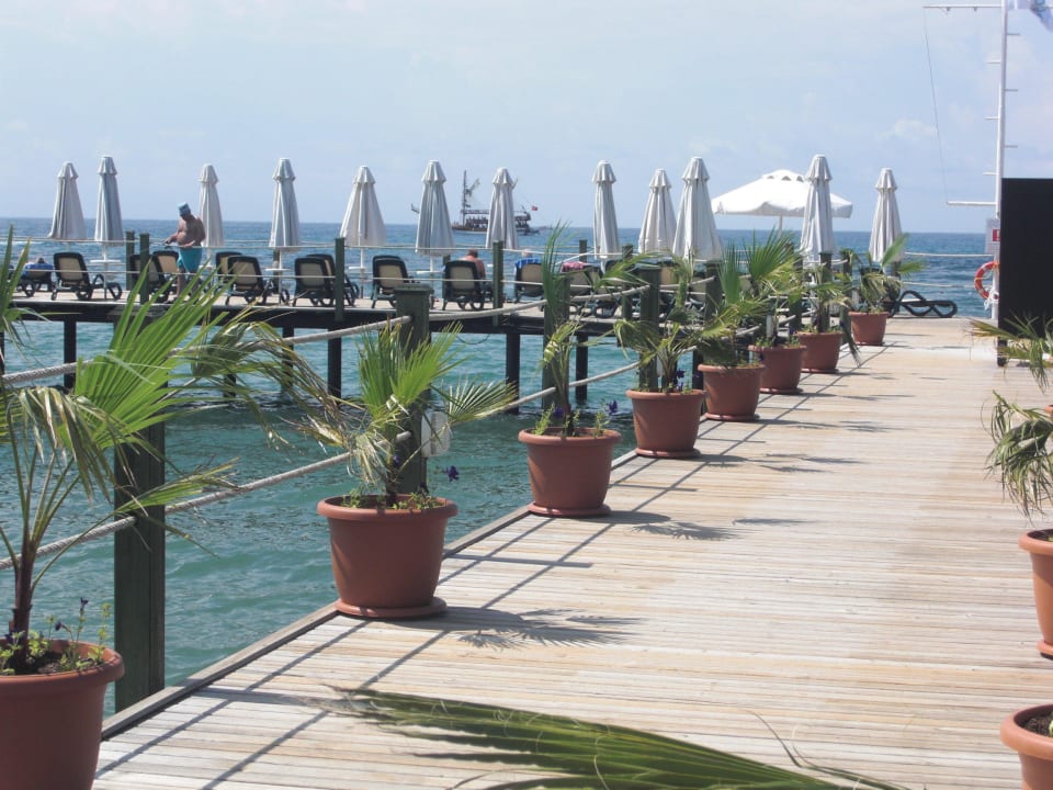 Badesteg mit Liegen Turquoise Hotel