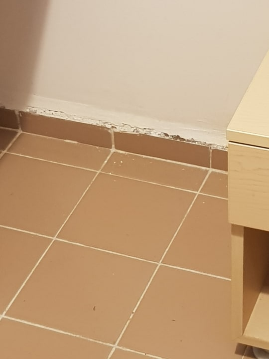 Zimmer Hotel Catty Cats Garden