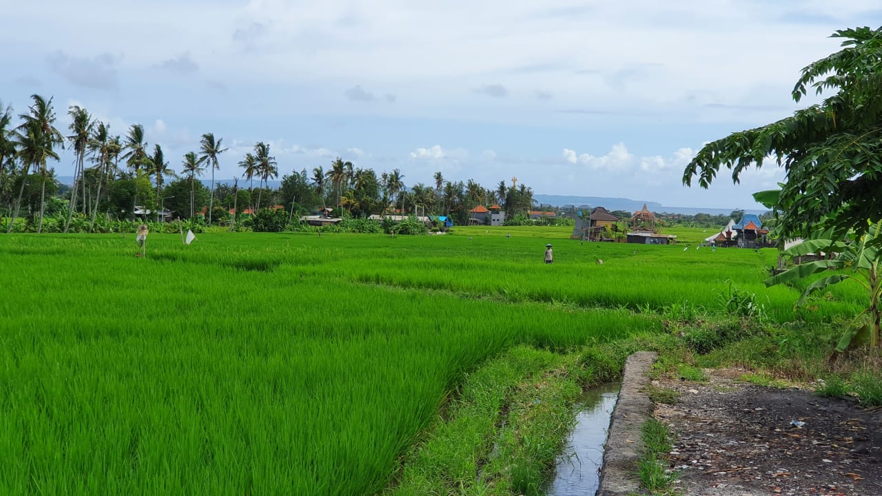 Ausblick OYO 963 D'jineng Rice Terrace Bungalow