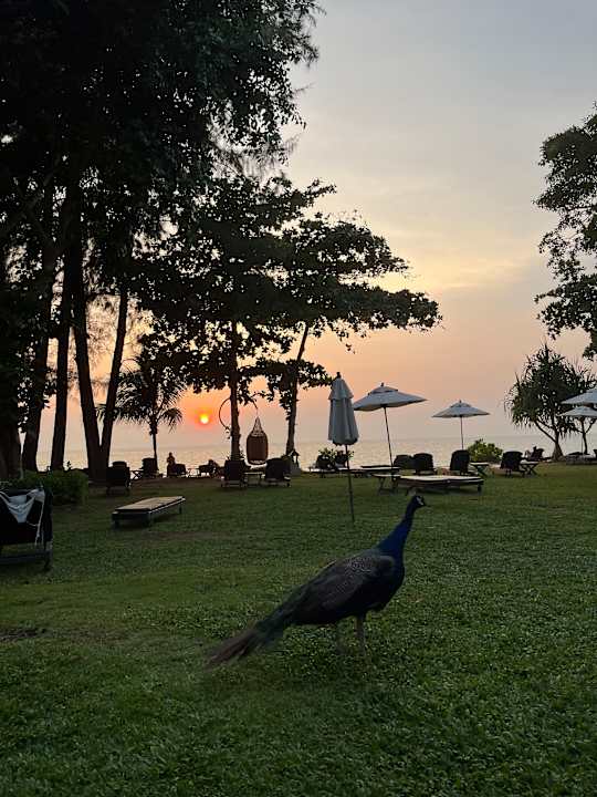 Gartenanlage Khao Lak Merlin Resort