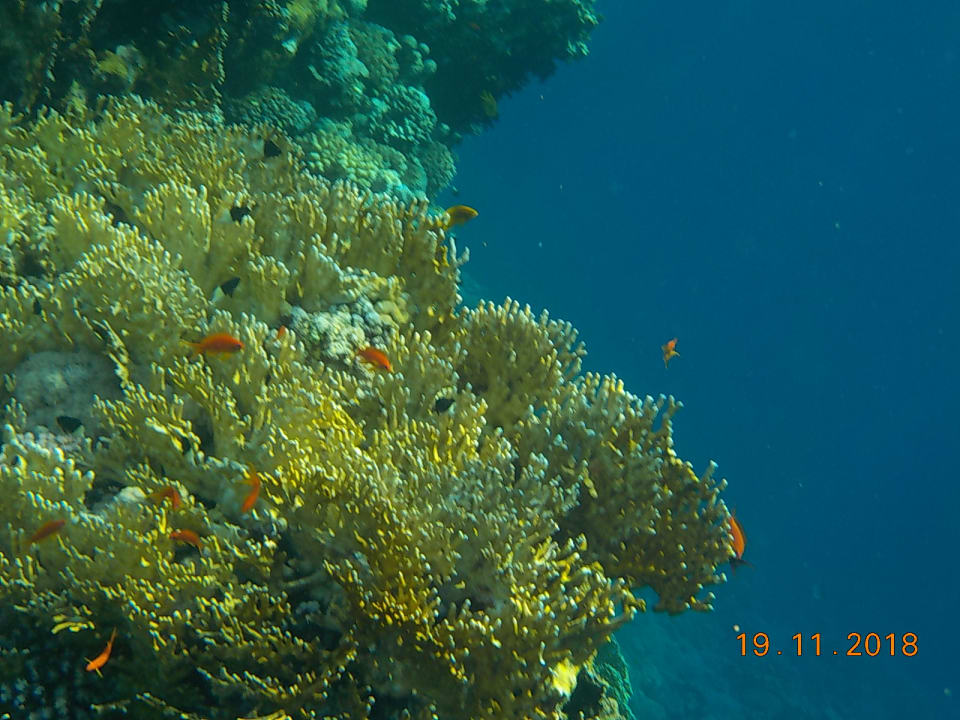 Strand Rohanou Beach Resort