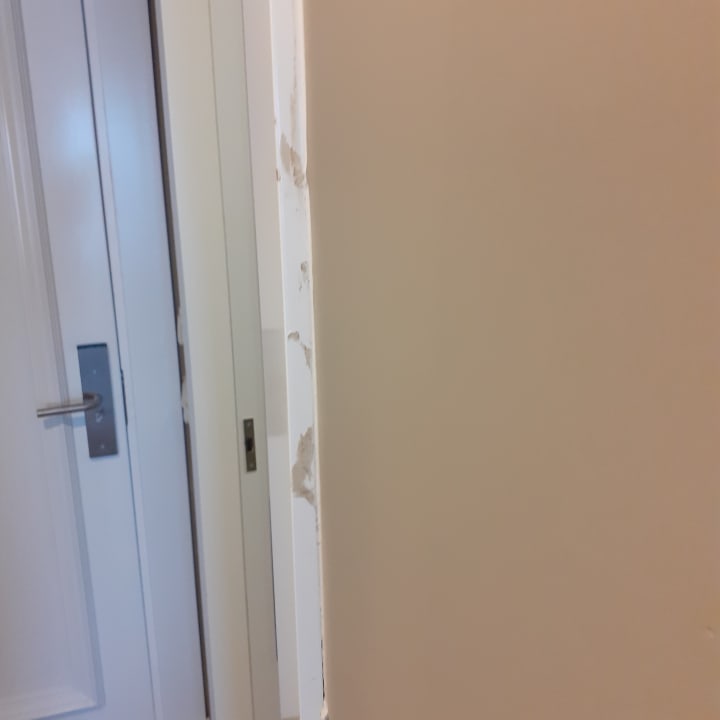 Zimmer Dream Water World