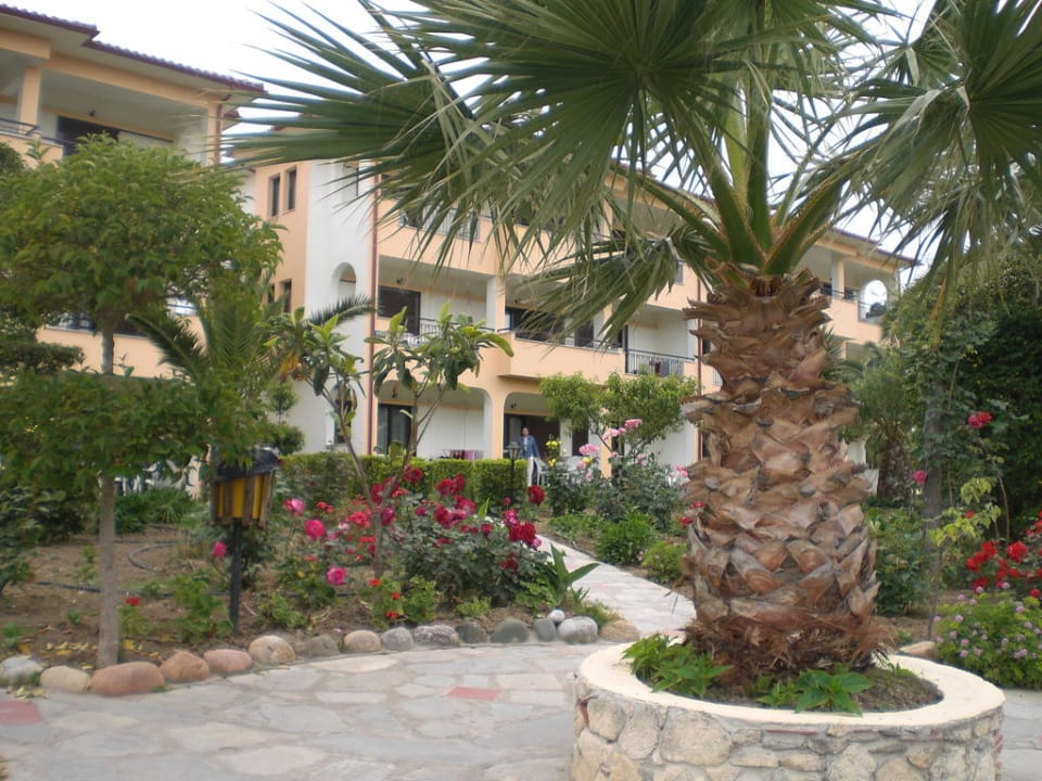 Ogród Hotel Chrousso Village