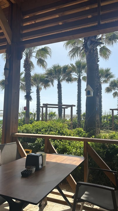 Gartenanlage Saturn Palace Resort Hotel