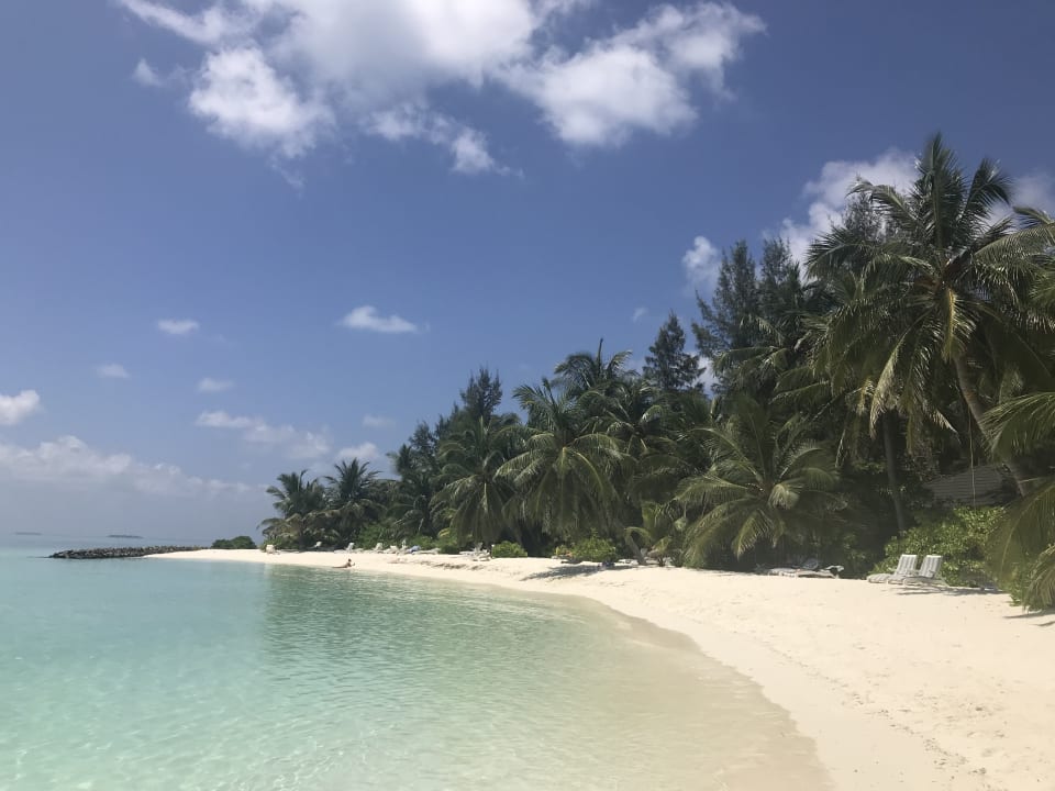 Strand Summer Island Maldives