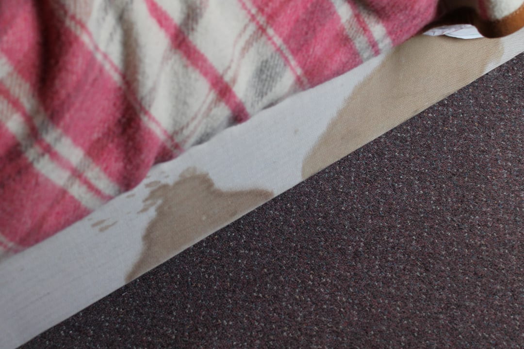 Zustand des Bettes Hotel Du Parc