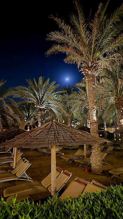 Strand Miramar Al Aqah Beach Resort