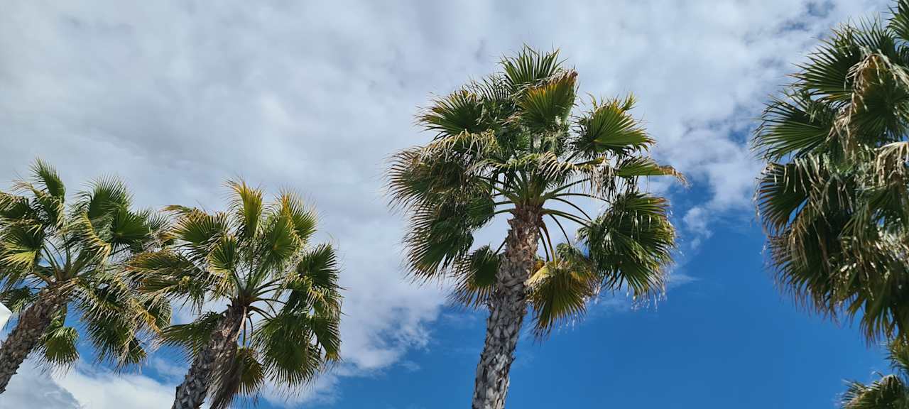 Gartenanlage Dream World Aqua Hotel