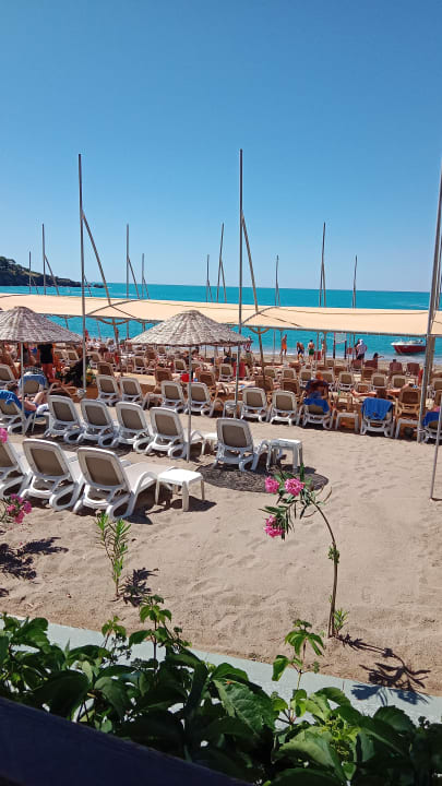 Strand Arycanda Kirman Premium