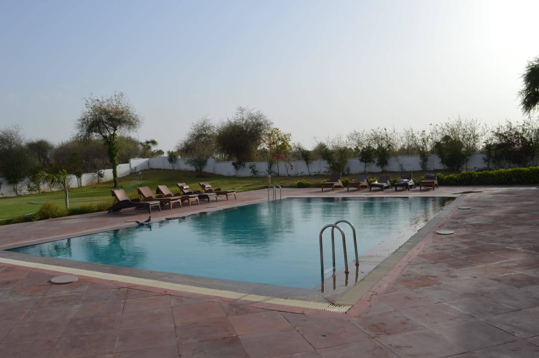 Pool Hotel Udai Vilas Palace Mandawa