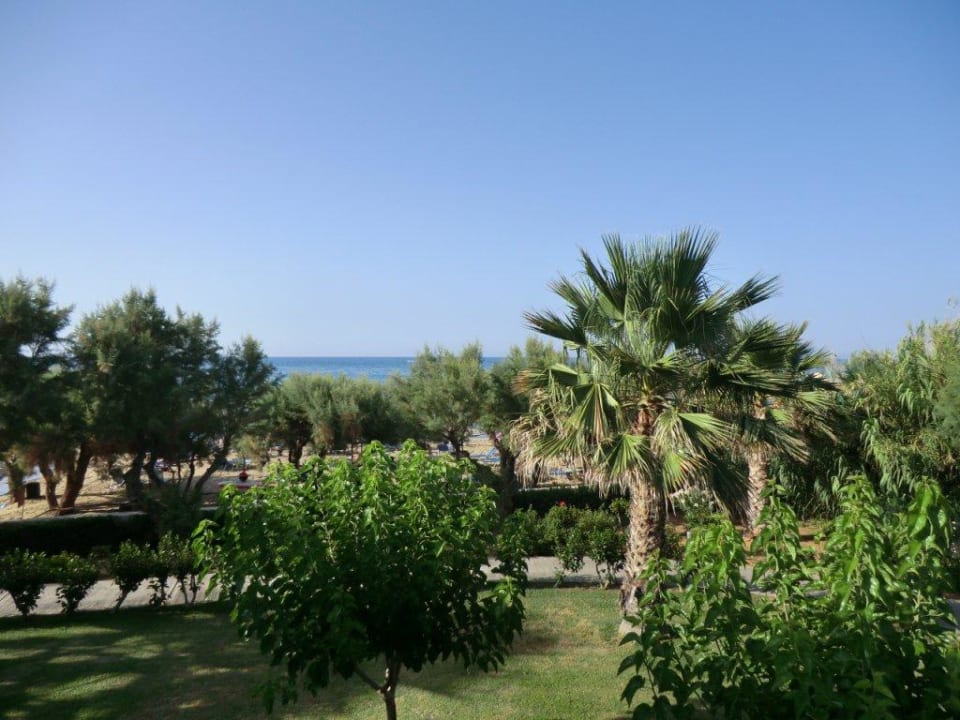 Blick in den Garten Phãea Cretan Malia