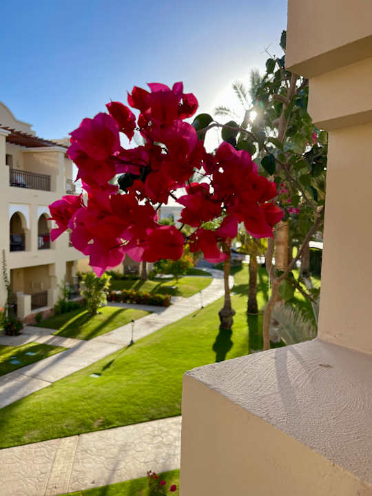 Ausblick Jaz Lamaya Resort