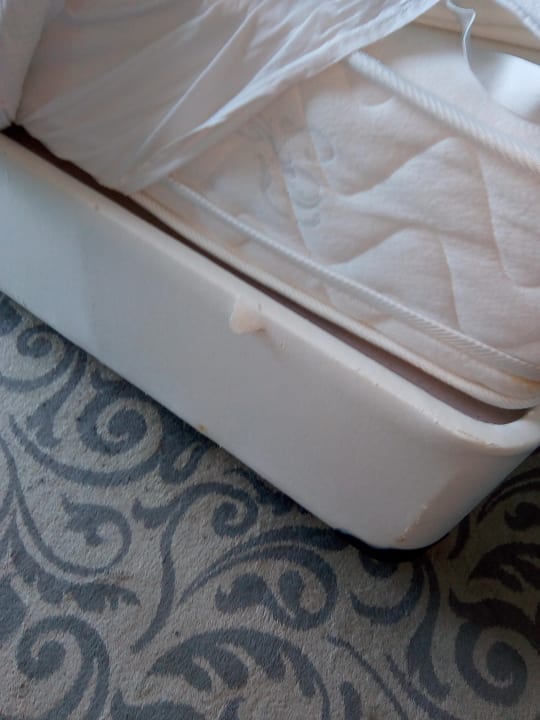 Zimmer Q Premium Resort