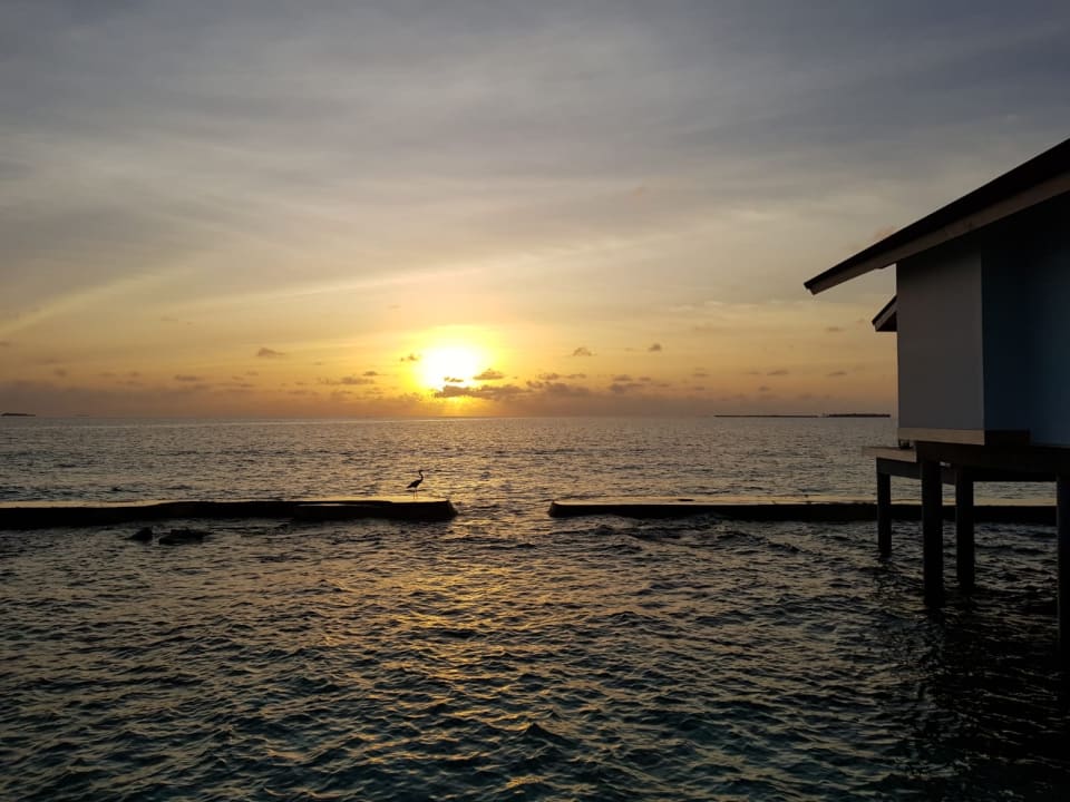Ausblick Ellaidhoo Maldives by Cinnamon