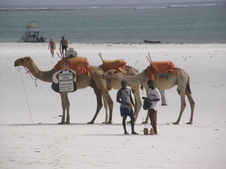 Zum Reiten Neptune Paradise Beach Resort & Spa