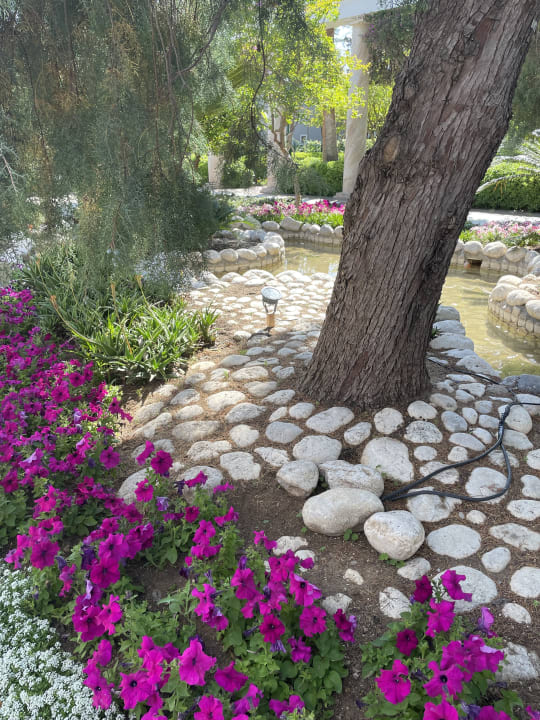Gartenanlage TUI Magic Life Belek