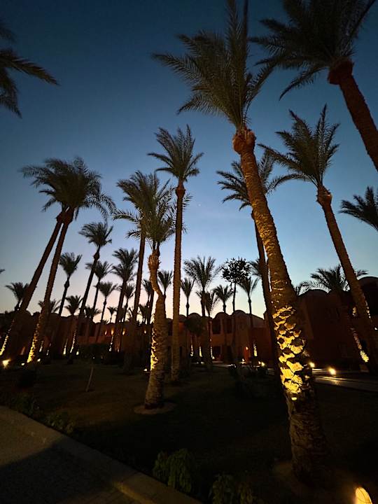 Gartenanlage Jaz Makadi Oasis Resort