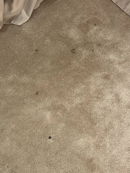 Zimmer Grand Hotel Adriatic I + II