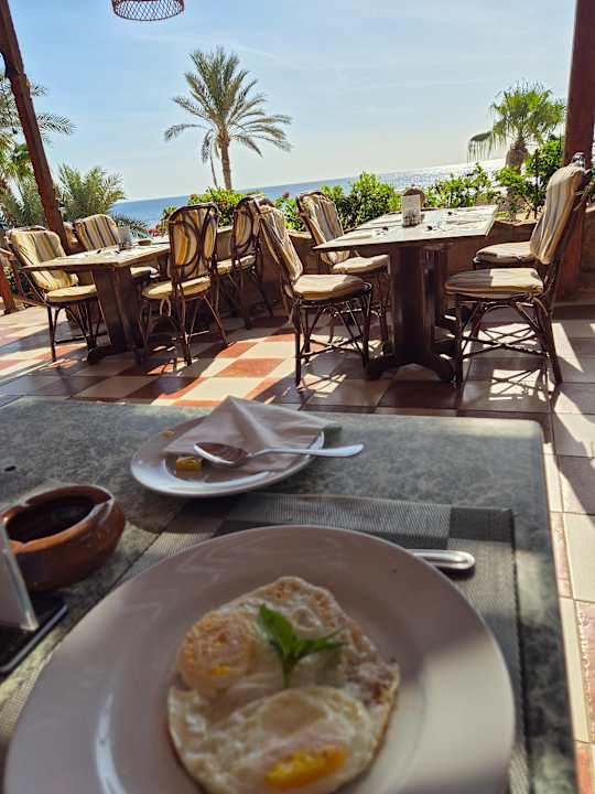 Gastro Wadi Lahmy Azur Resort